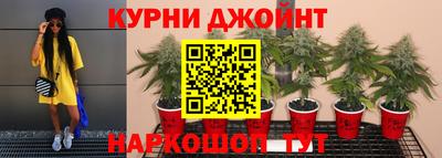 PSILOCYBIN Владикавказ