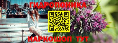 PSILOCYBIN Владикавказ