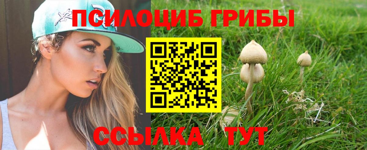 Бугуруслан  Галлюциногенные грибы ЛСД  Псилоцибиновые грибы MAGIC MUSHROOMS  Вход с VPN 